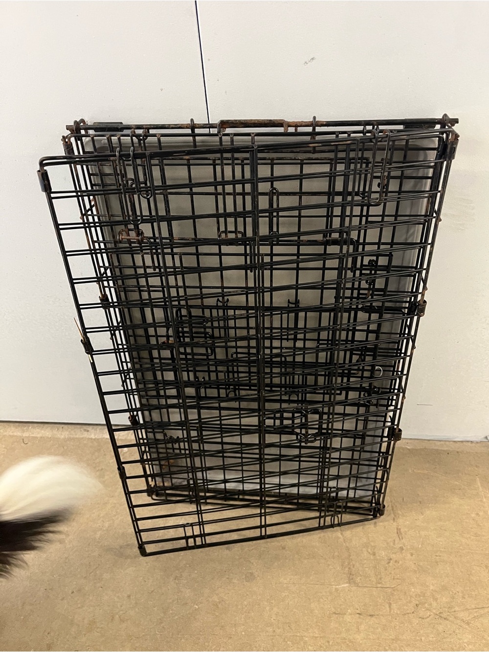 Black Metal Grid Wall Panel - Versatile Display Shelf